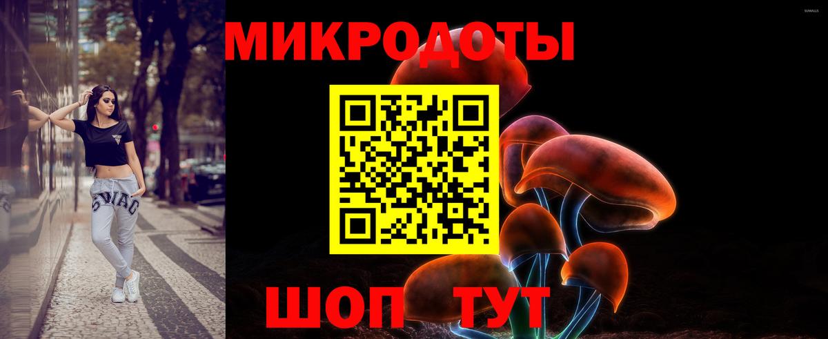 Псилоцибиновые грибы прущие грибы Ярославль