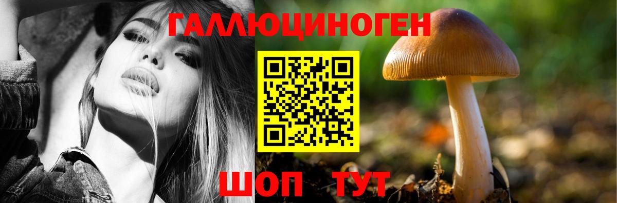 Галлюциногенные грибы мицелий  наркота  Ярославль  Вход с VPN  Псилоцибиновые грибы Cubensis 